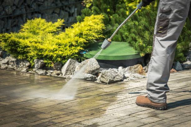 Best Sidewalk and Walkway Cleaning  in Westover, WV